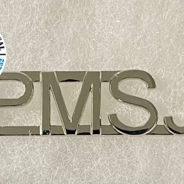INSIGNIA PMSJ (POLICIA MUNICIPAL SAN JUAN)